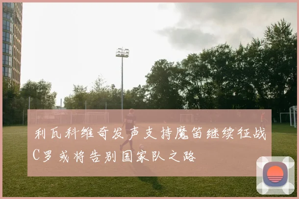 利瓦科维奇发声支持魔笛继续征战C罗或将告别国家队之路