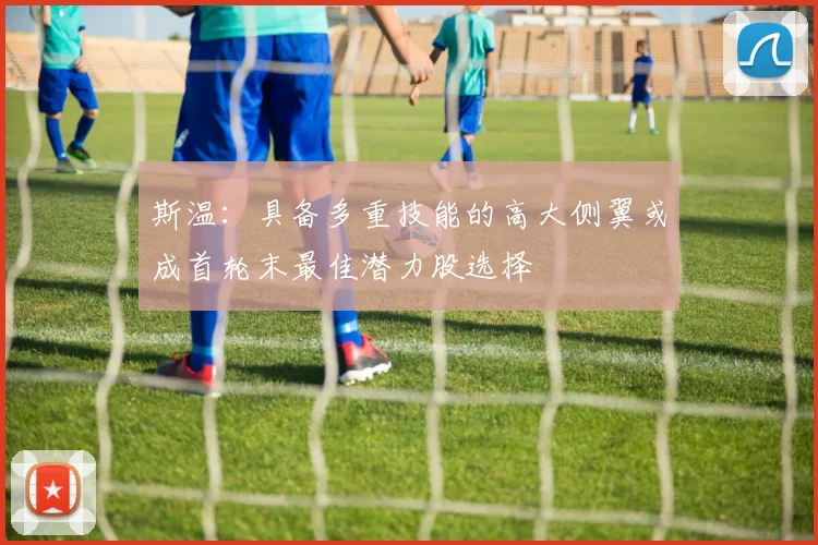 斯温：具备多重技能的高大侧翼或成首轮末最佳潜力股选择