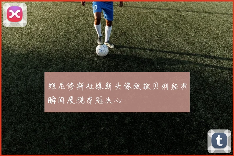 维尼修斯社媒新头像致敬贝利经典瞬间展现夺冠决心