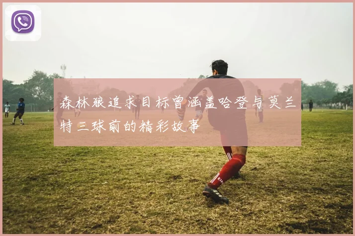 森林狼追求目标曾涵盖哈登与莫兰特三球前的精彩故事